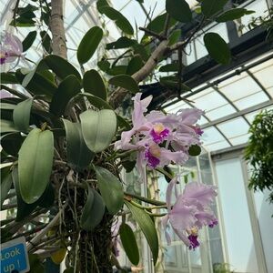 Meet your Posher, Alan